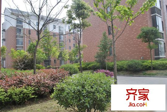 南湖春城外景圖3