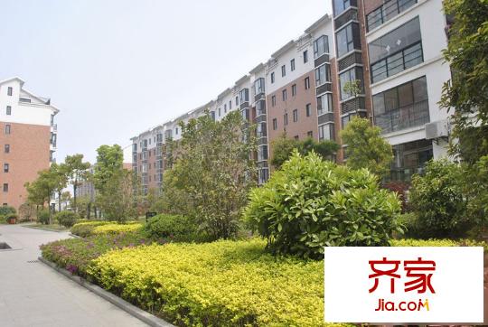 南湖春城外景圖2