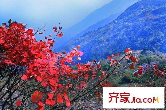 隆鑫三峽國家度假公園周邊巫山景點