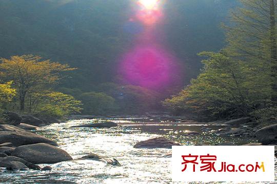 戴斯明月綠洲公寓周邊黃水國家森林公園