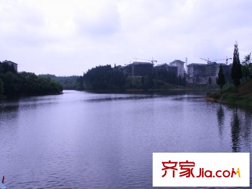戴斯明月綠洲公寓周邊湖景
