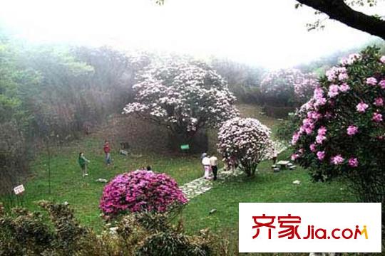 中海黎香湖項目周邊配套金佛山景區(qū)
