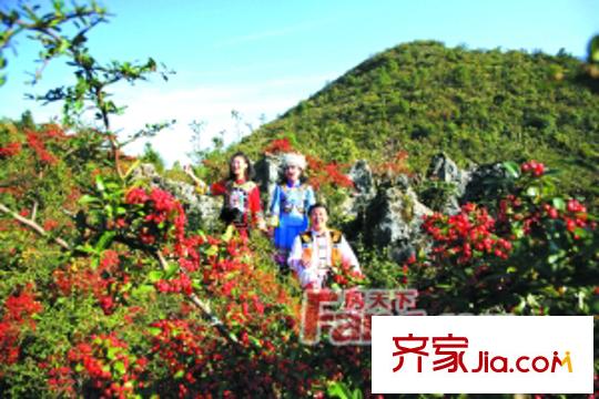 戴斯明月綠洲公寓周邊大風(fēng)堡