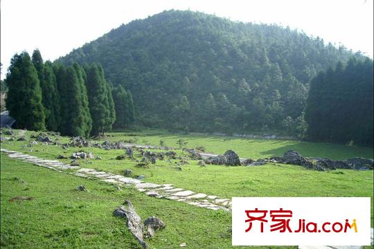 戴斯明月綠洲公寓周邊黃水國家森林公園