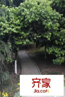 誠投天鄰水岸小區(qū)布道（2015.3）