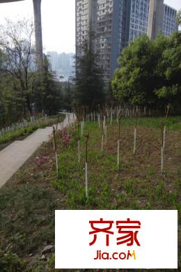 誠投天鄰水岸小區(qū)（2015.3）