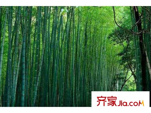 金三角國際旅游度假區(qū)周邊風(fēng)景