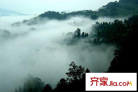 仙源仙湖堤香周邊森林公園