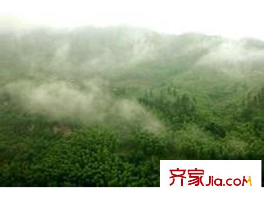 金三角國際旅游度假區(qū)周邊風(fēng)景