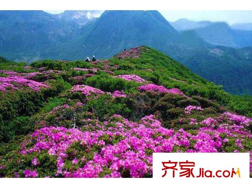 金三角國際旅游度假區(qū)周邊風(fēng)景