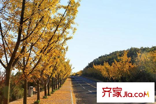 旗乾?君鼎壹號(hào)周邊仙女山風(fēng)景區(qū)