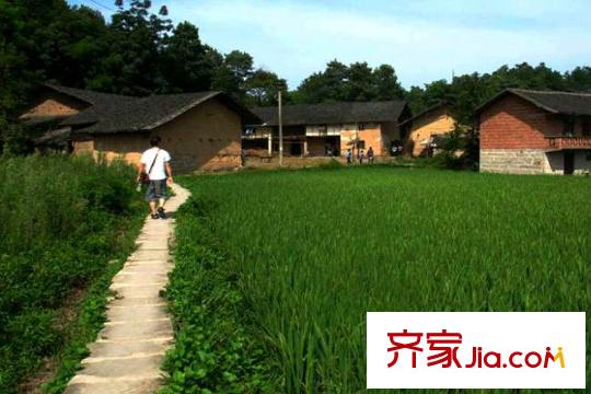 永緣格林波特周邊農(nóng)田