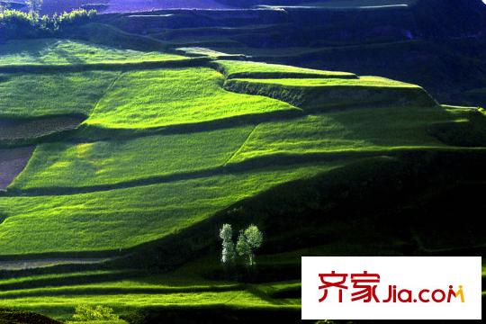 卓宏山水城項(xiàng)目周邊紅池壩風(fēng)景區(qū)