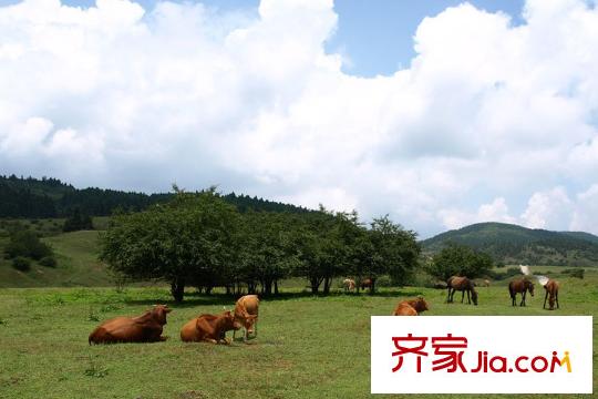 利豐印象望江苑二期周邊仙女山大草原