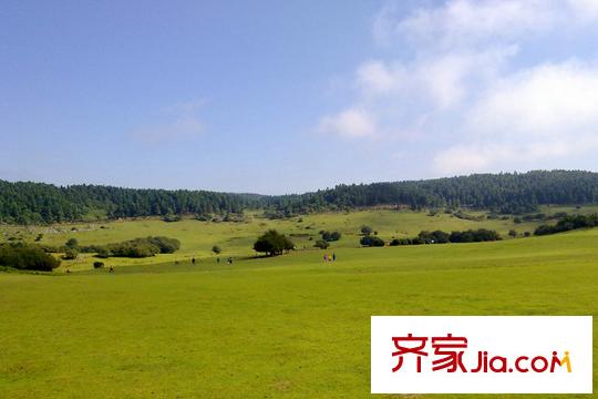 利豐印象望江苑二期周邊仙女山大草原