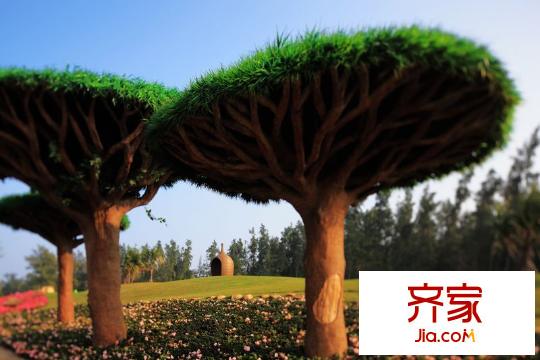 世茂?怒放海小區(qū)花園(20140224)