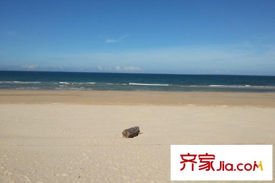 世茂?怒放海周邊海邊美景