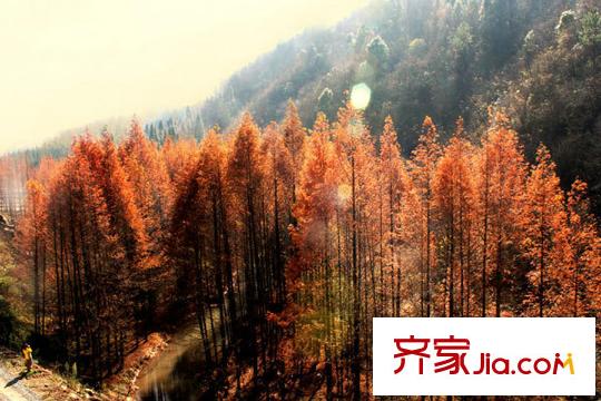 康德中央大街項目周邊黃水風景區(qū)