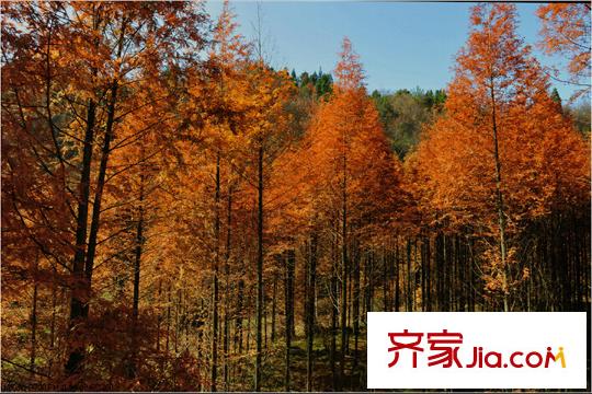 康德中央大街項目周邊黃水風景區(qū)