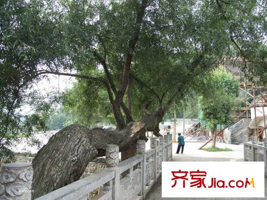 廊橋水岸項目周邊自然風(fēng)景