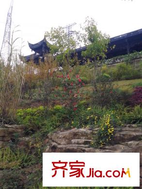 斌鑫江南時(shí)代左側(cè)100米巴文化公園