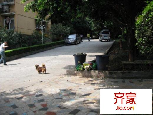 龍山悅景外景圖小區(qū)相關(guān)圖_1