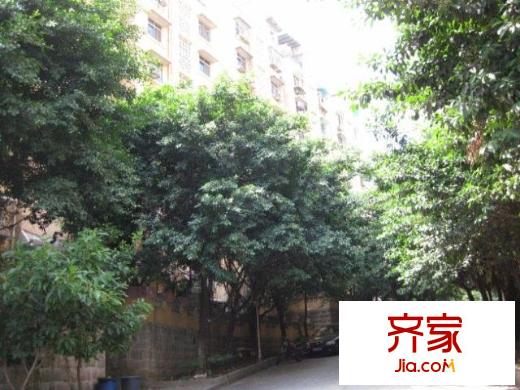 龍山悅景外景圖小區(qū)相關(guān)圖_7