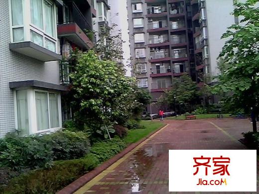 謝家灣小區(qū)外景圖 