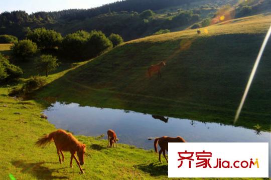 仙女山上的院子項(xiàng)目周邊仙女山風(fēng)景區(qū)