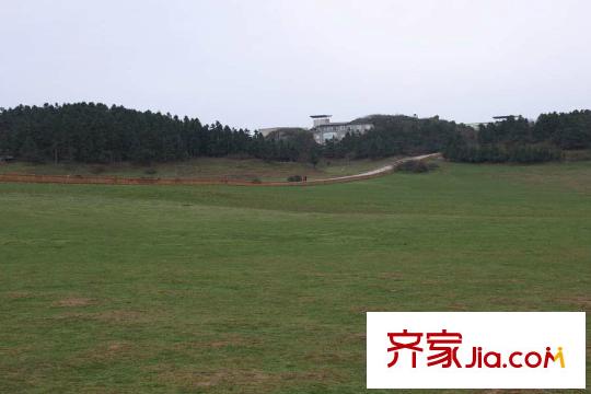 仙女山上的院子項(xiàng)目周邊仙女山風(fēng)景區(qū)