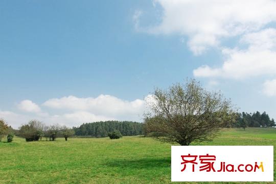 仙女山上的院子項(xiàng)目周邊仙女山風(fēng)景區(qū)