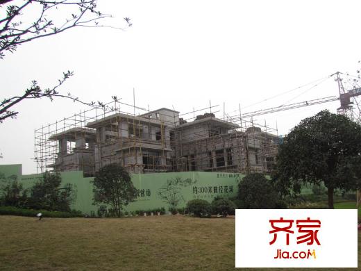 協(xié)信溪山墅一期1號(hào)樓工程進(jìn)度圖（2013.01.20）