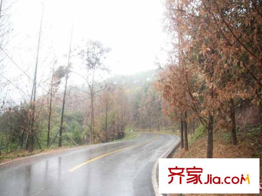 協(xié)信溪山墅周邊照母山森林公園