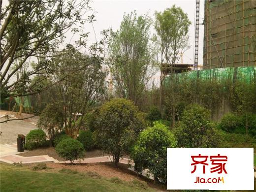 協(xié)信溪山墅小區(qū)花園（2013.06）