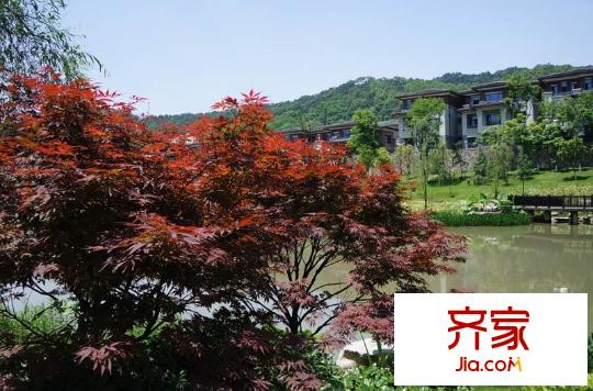 金隅大成南山郡二期小區(qū)（2014-7-17）