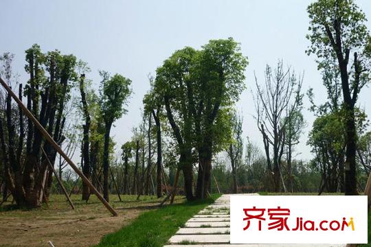 名流印象小的墅周邊公園