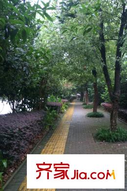 名流印象小的墅周邊公路旁景觀帶