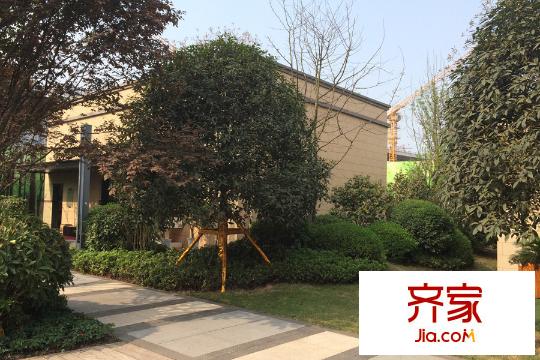 力帆紅星國(guó)際廣場(chǎng)紫檀莊園售樓部綠化實(shí)景（2015-3-18）