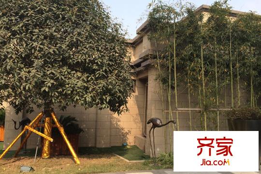 力帆紅星國(guó)際廣場(chǎng)紫檀莊園售樓部綠化實(shí)景
