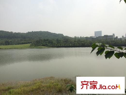 力帆紅星國(guó)際廣場(chǎng)紫檀莊園周邊照母山森林公園