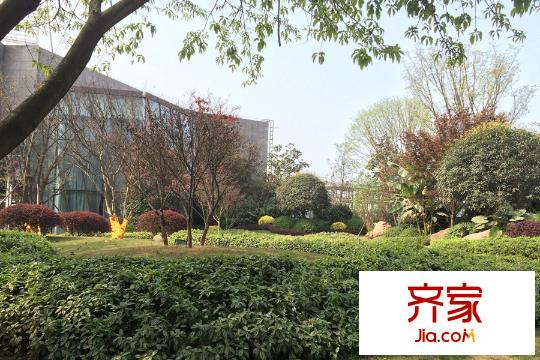 力帆紅星國(guó)際廣場(chǎng)紫檀莊園售樓部綠化實(shí)景（2015-3-18）