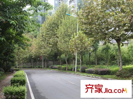 南方書苑湖畔周邊道路