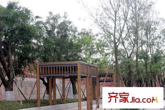 國(guó)博城別墅項(xiàng)目周邊街道