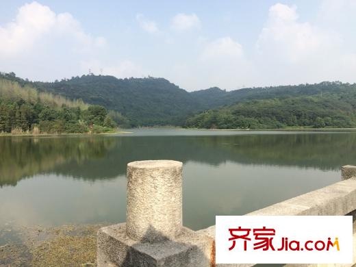 力帆紅星國際廣場紫郡周邊照母山森林公園