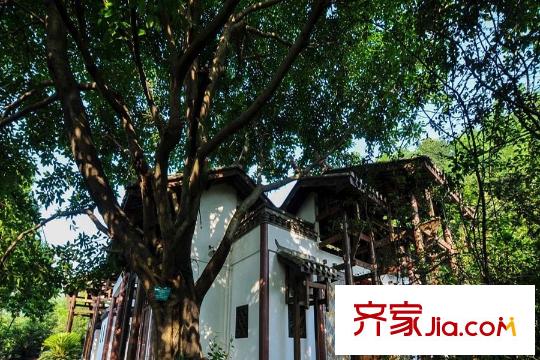 長江實業(yè)地產平方米湖園周邊照母山植物園