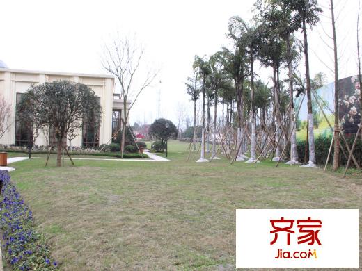 愛(ài)情谷小區(qū)（2014.2.11）