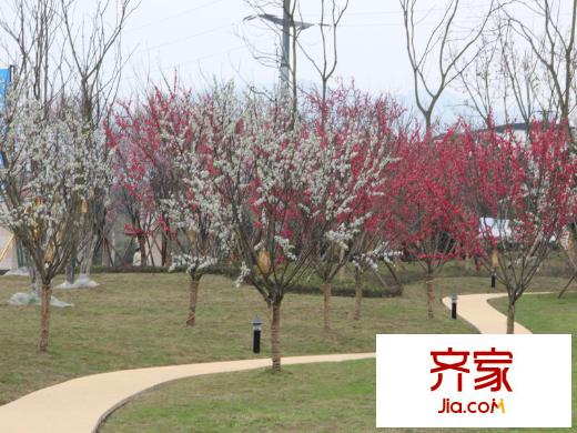 愛(ài)情谷小區(qū)（2014.2.11）
