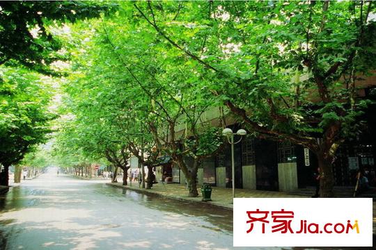 愛(ài)情谷周邊街道