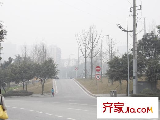 樂信愛琴嶼周邊主干道