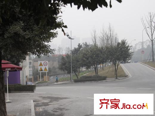 樂信愛琴嶼周邊街道實景